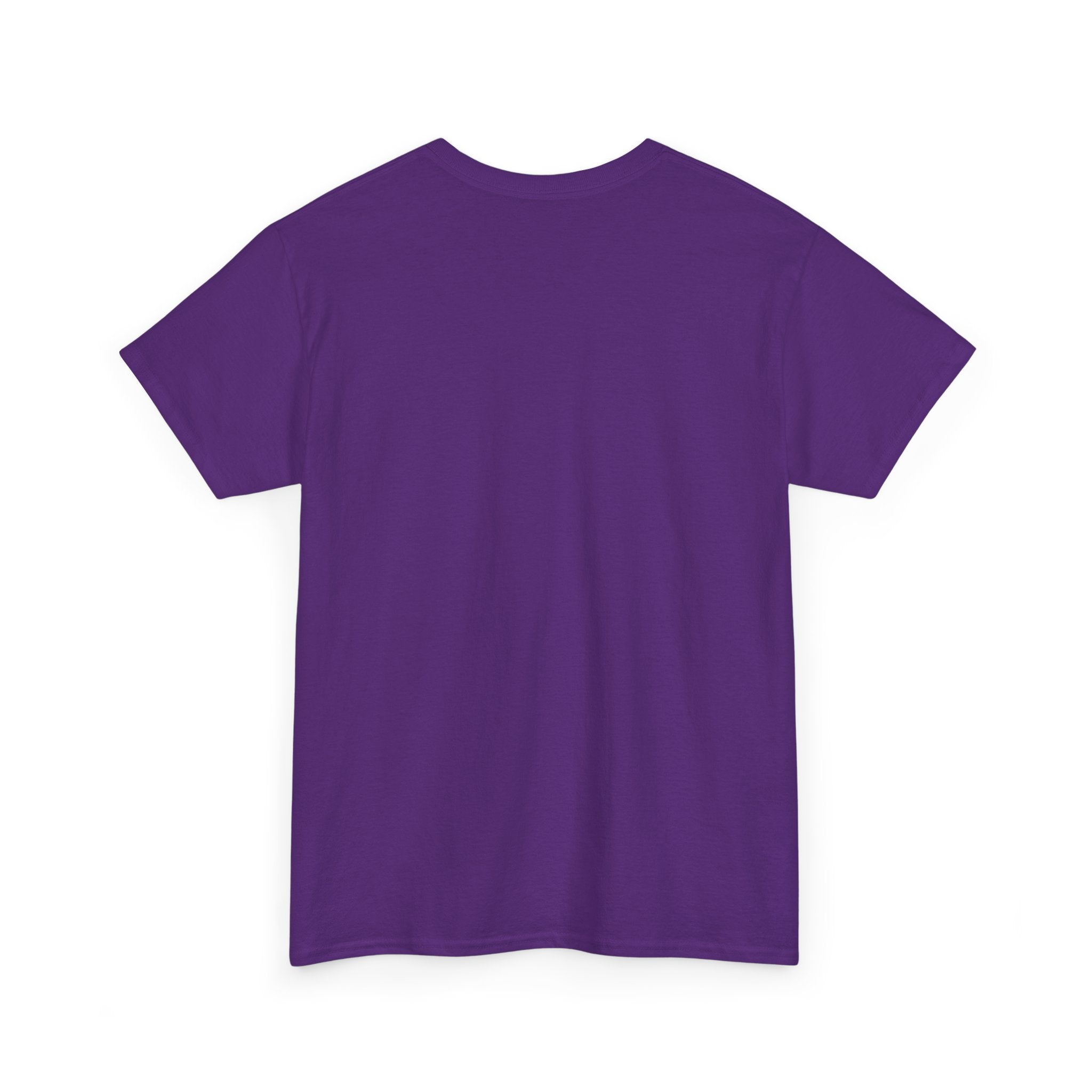 Pro-Choice Statement Tee — "The Fetus Is Not More Important Than the Mother" Design on the Front