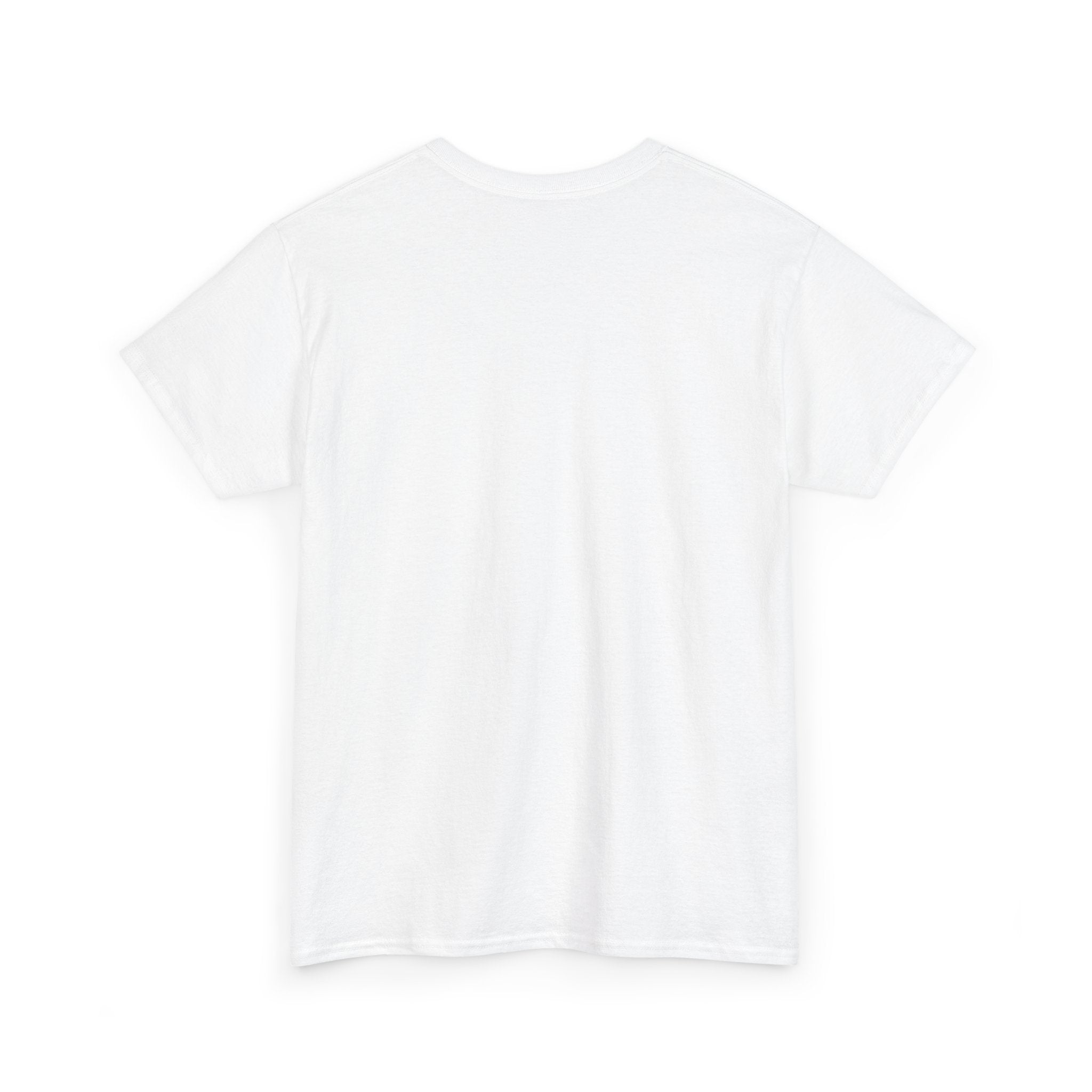 Pro-Choice Statement Tee — "The Fetus Is Not More Important Than the Mother" Design on the Front