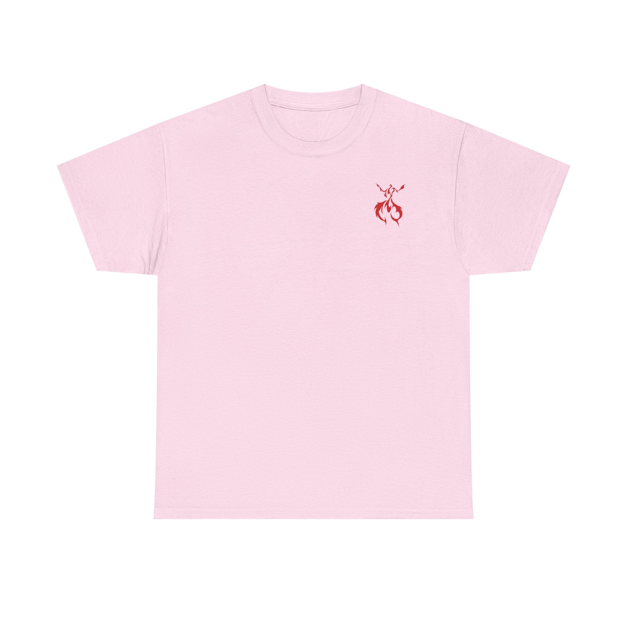 Pro-Choice Statement Tee — "The Fetus Is Not More Important Than the Mother"