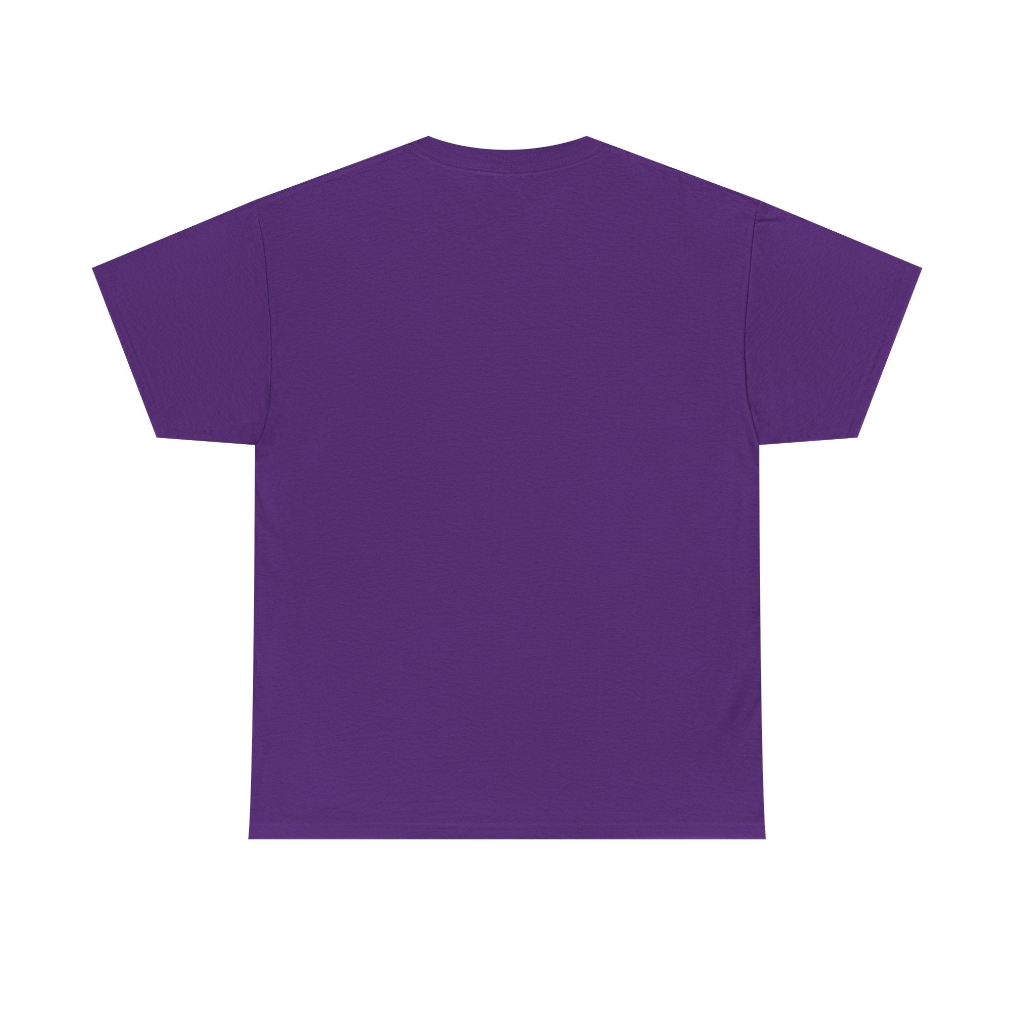 Pro-Choice Statement Tee — "The Fetus Is Not More Important Than the Mother" Design on the Front