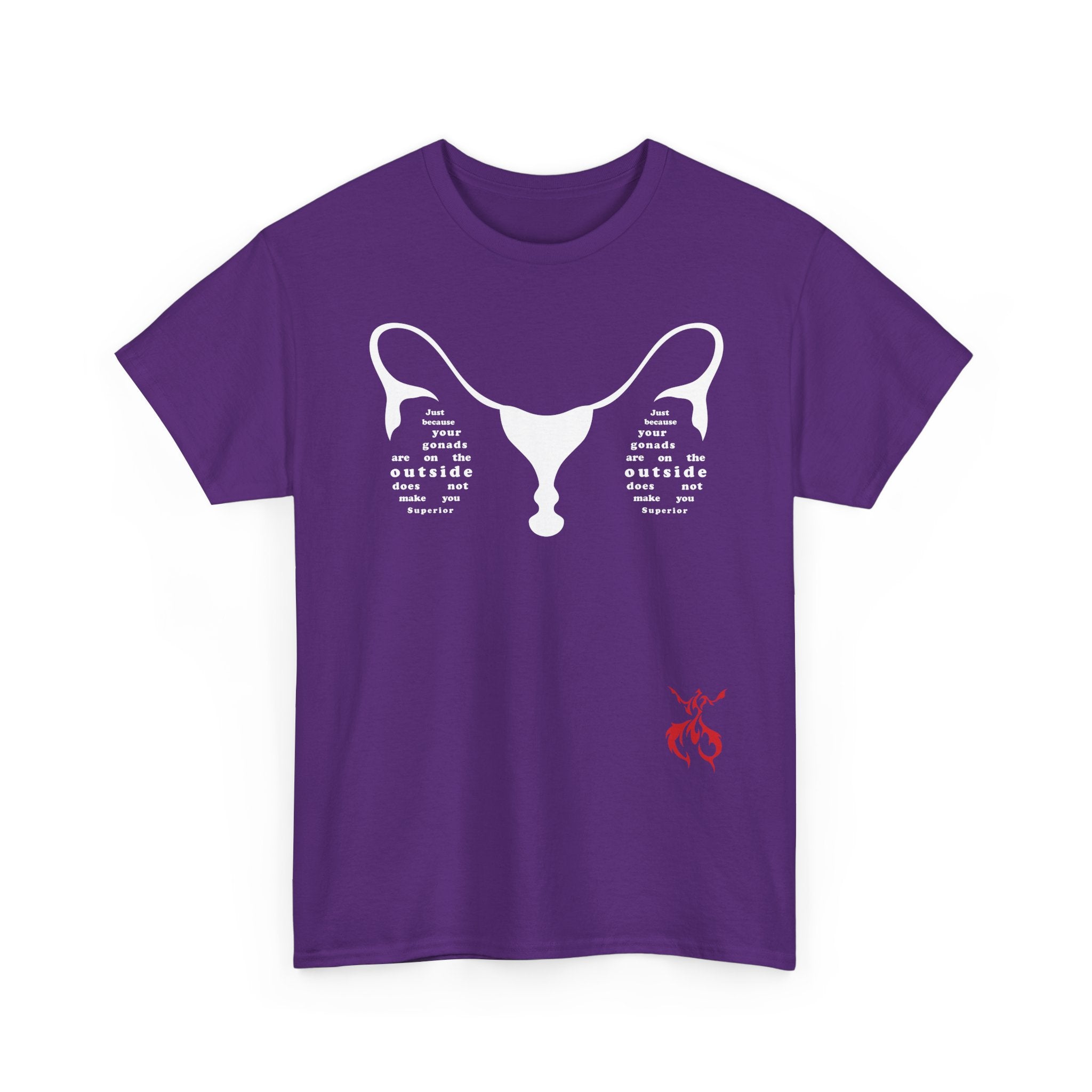Provocative Statement Tee — "Just Because Your Gonads Are On The Outside..." Ovaries Design on the Front