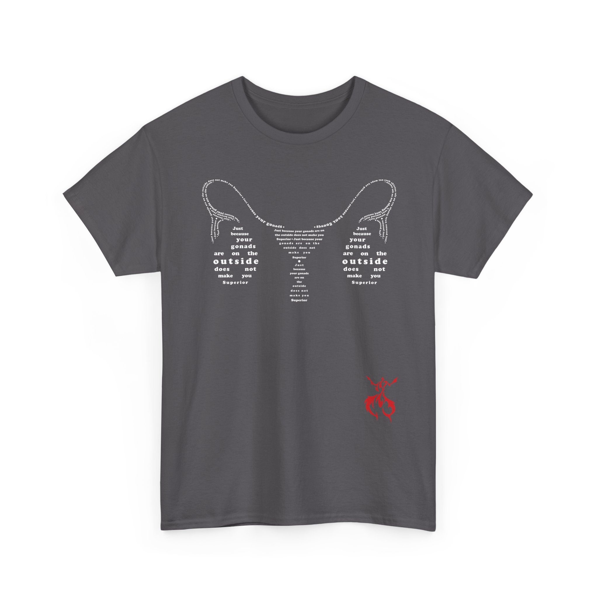 Provocative Statement Tee — "Just Because Your Gonads Are On The Outside..." Ovaries All Text Design on the Front