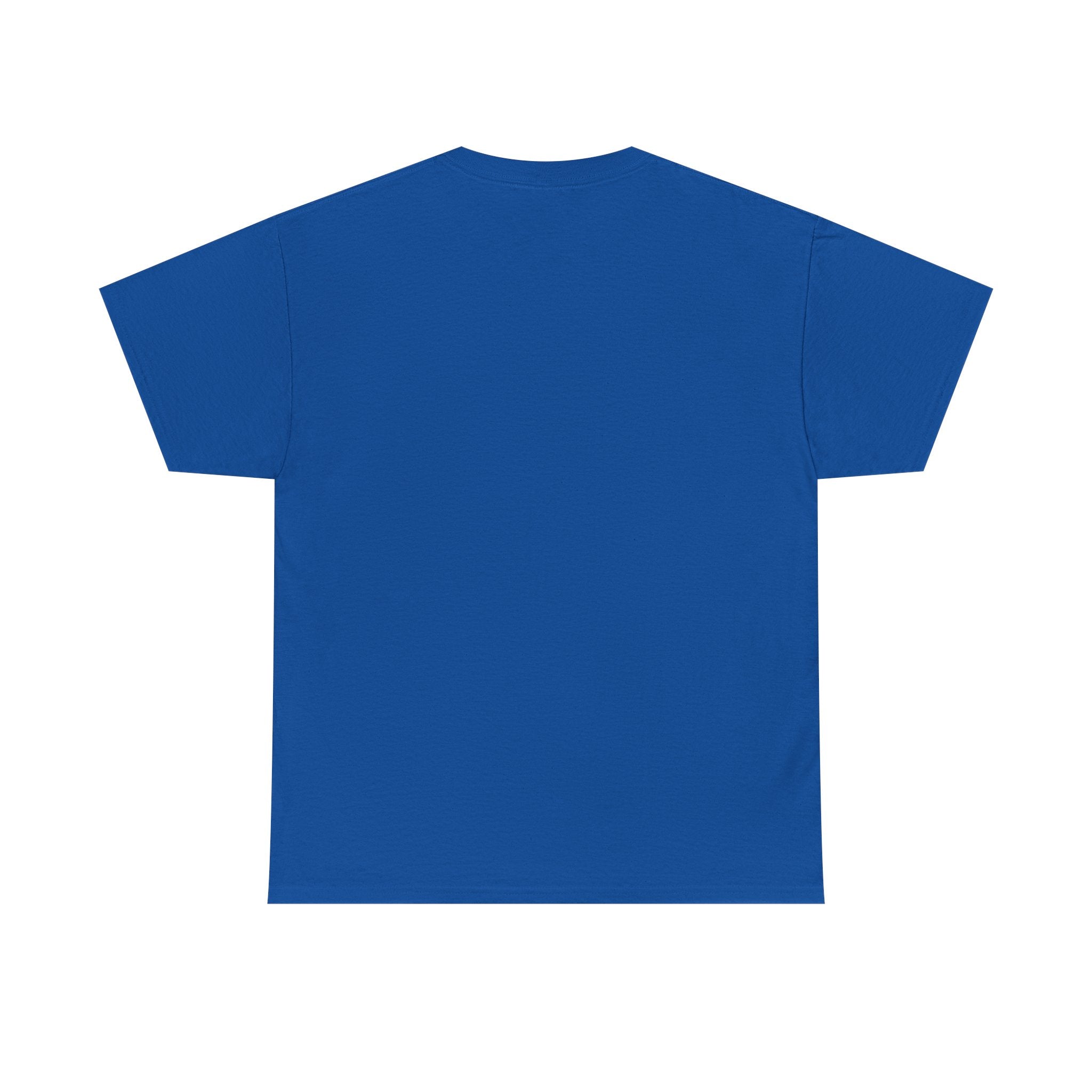 Pro-Choice Statement Tee — "The Fetus Is Not More Important Than the Mother" Design on the Front