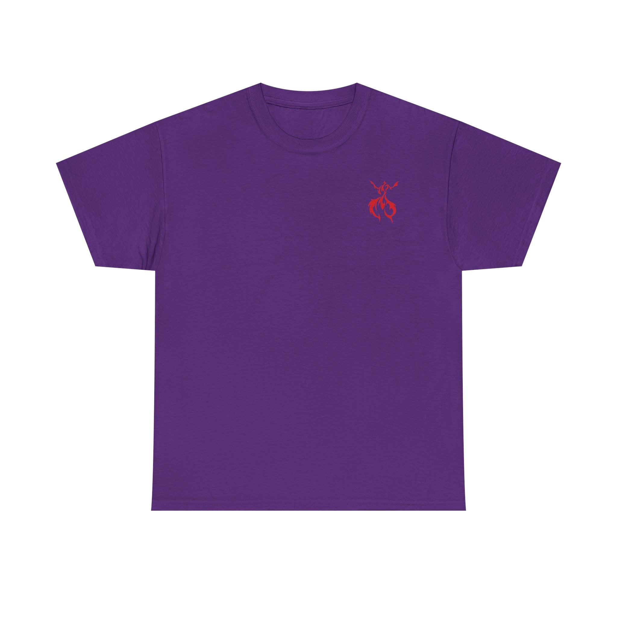 Pro-Choice Statement Tee — "The Fetus Is Not More Important Than the Mother"