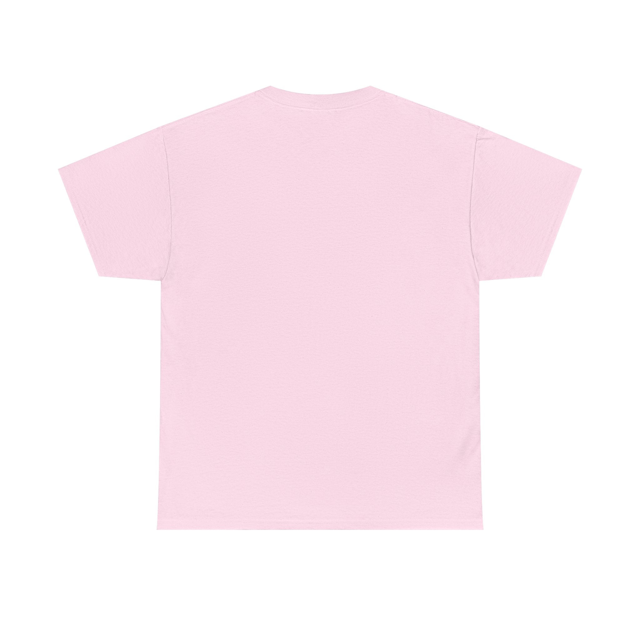 Pro-Choice Statement Tee — "The Fetus Is Not More Important Than the Mother" Design on the Front