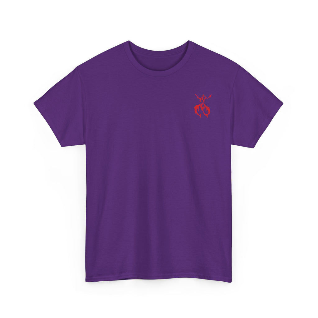 Dragon & Unicorn Graphic Tee — Unicorn's Light Upon A Dragon Graphic Print on Back
