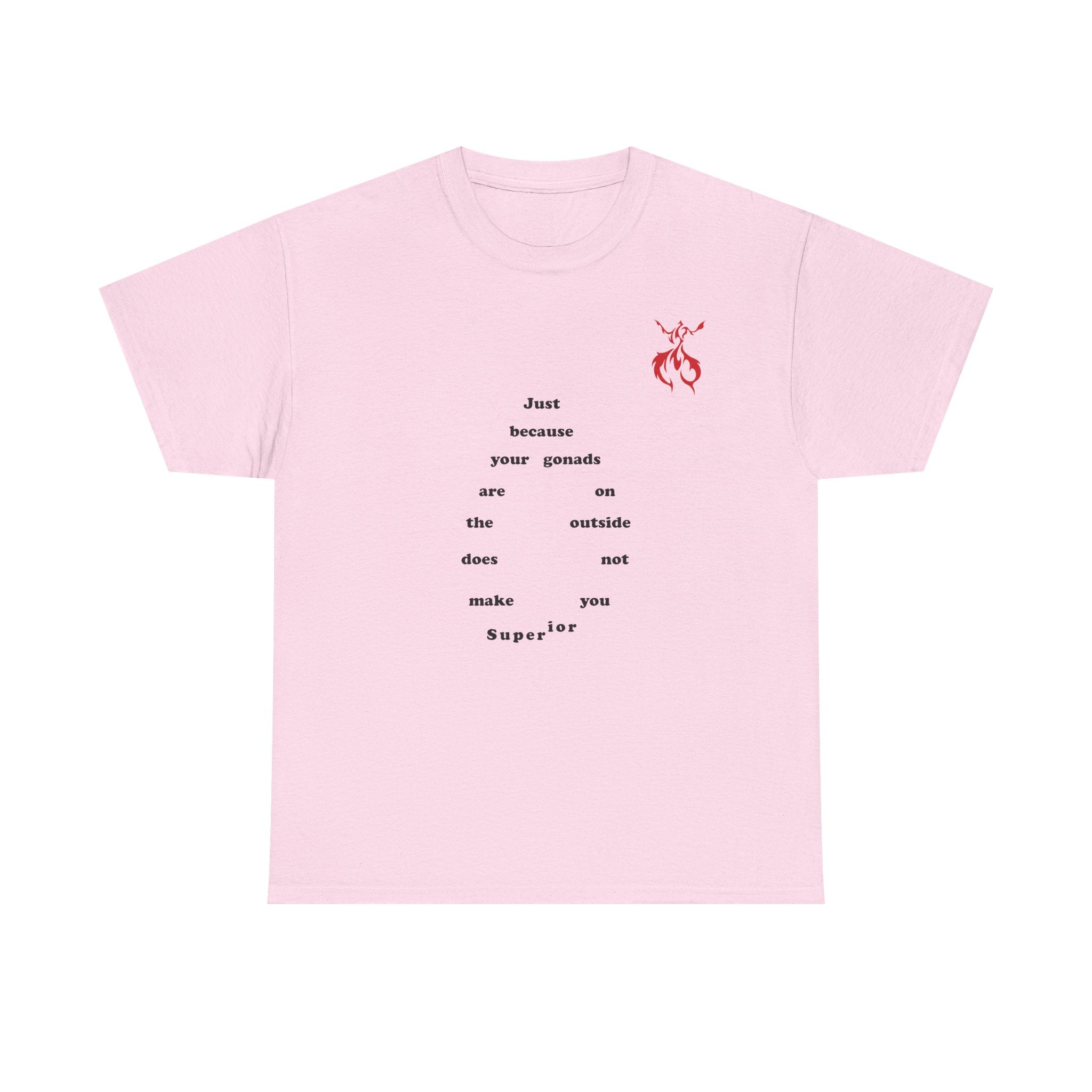 Provocative Statement Tee — "Just Because Your Gonads Are On The Outside..." Design on the Front